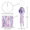 In the Breeze 5258 — 40-inch Purple Iridescent Jellyfish 3D Windsock — Simmering Windsock with Inflatable Head and Free-Flowing Tentacles
